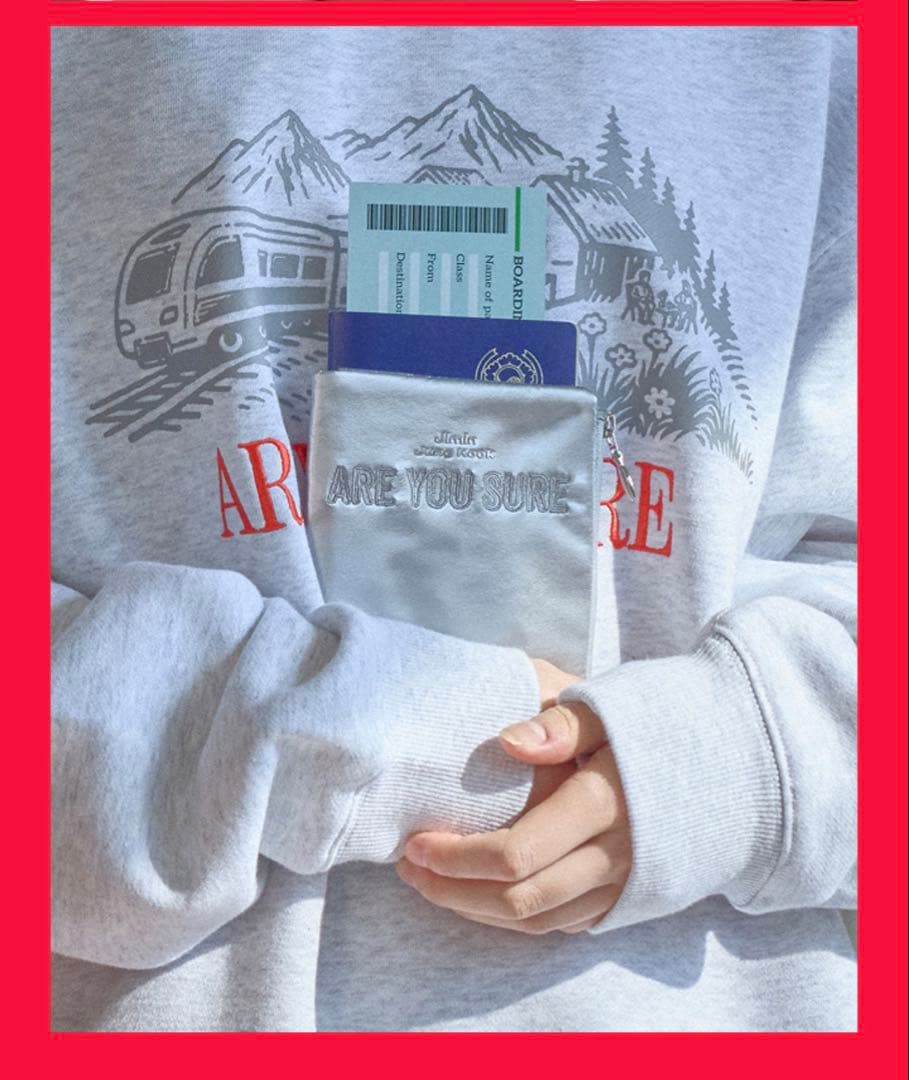 イゲマジャ AREYOUSURE JIMIN JUNGKOOK パスポートポーチ