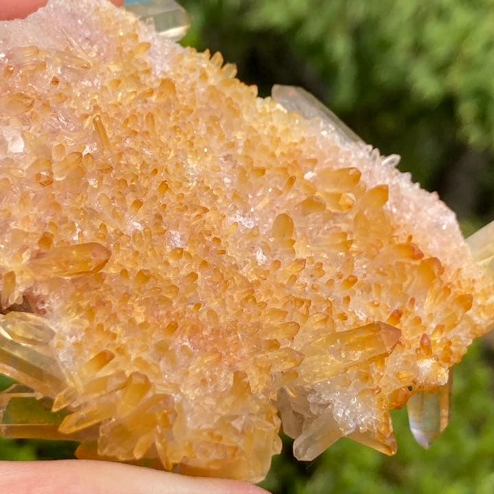 ヒマラヤ水晶 ゴールデンヒーラー クラスター 原石