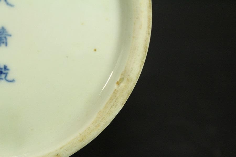 中国美術 門彩 色絵 水辺蓮花 瓶 高23cm(LC243)