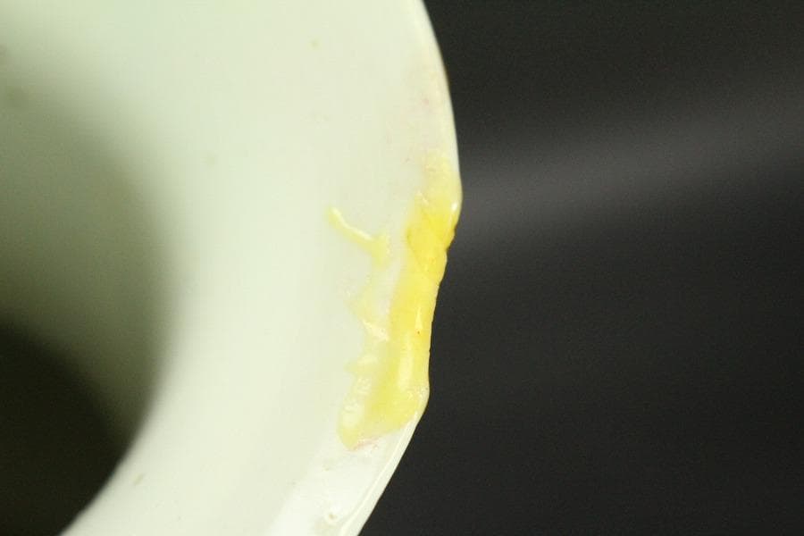 中国美術 門彩 色絵 水辺蓮花 瓶 高23cm(LC243)