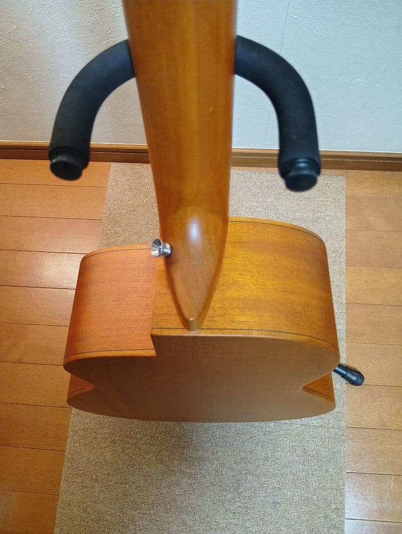 aNueNue M10（良品）