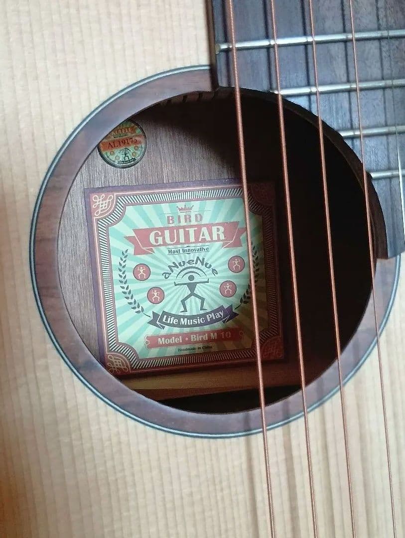 aNueNue M10（良品）