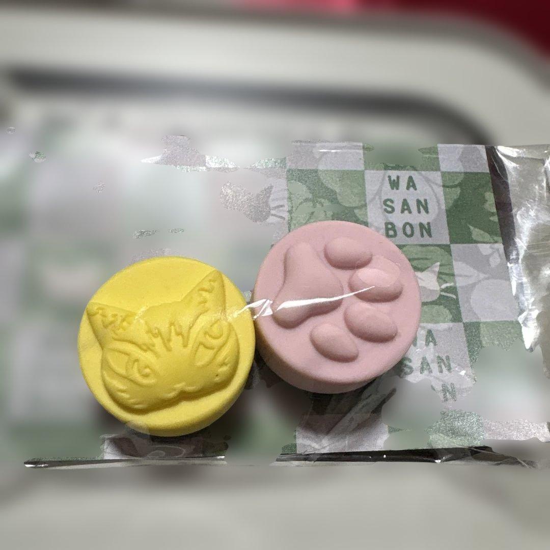 新品非売品わちふぃーるど　ダヤン　イワシ缶型ランチボックス&和三盆マグネット