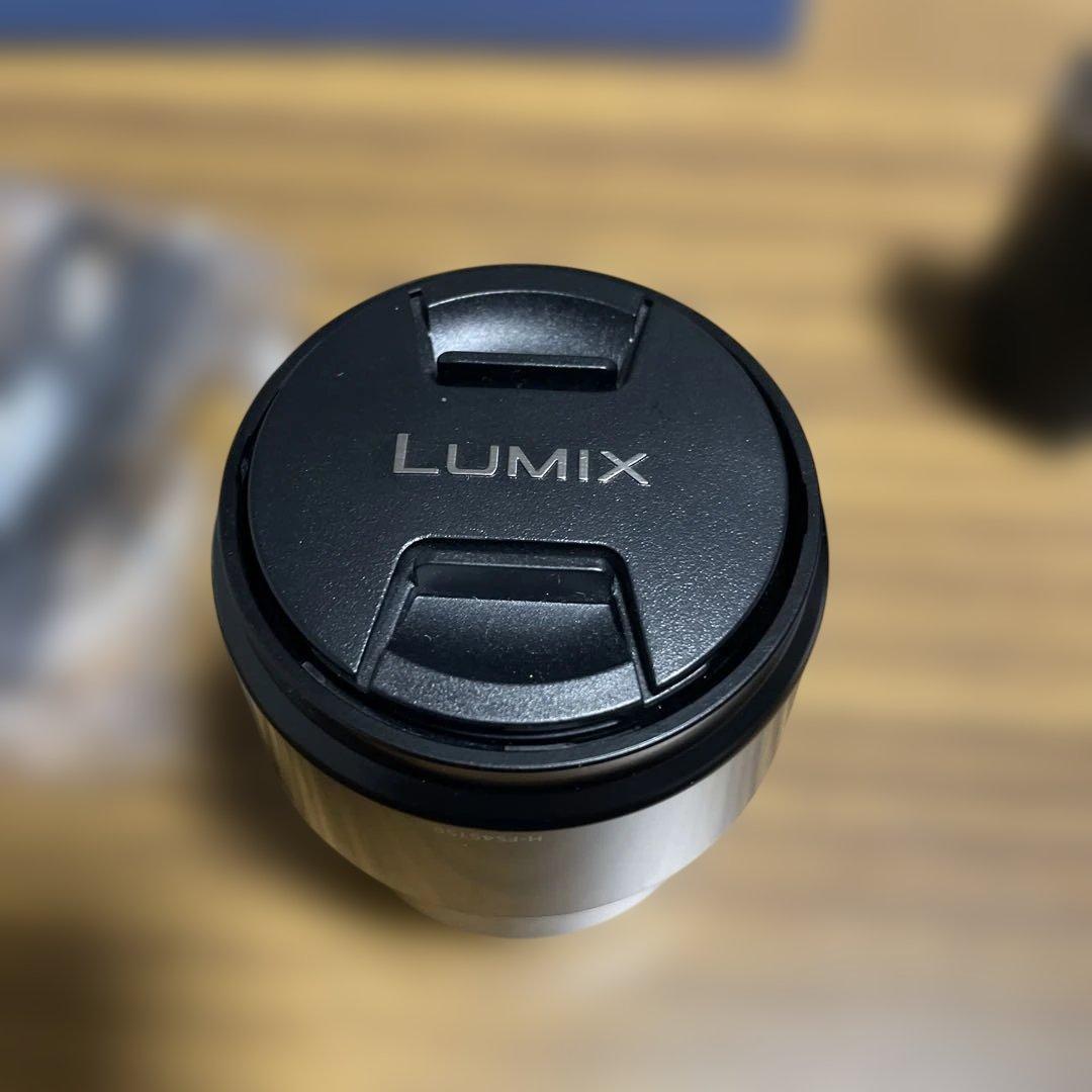 『極美品』LUMIX G100DWデジタルカメラWズームキット。