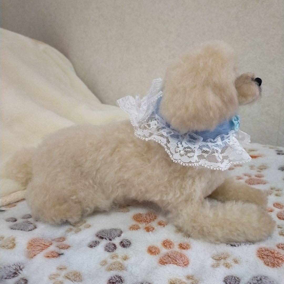 送料込み♡トイプードルアプリコットちゃん♡伏せポーズ。