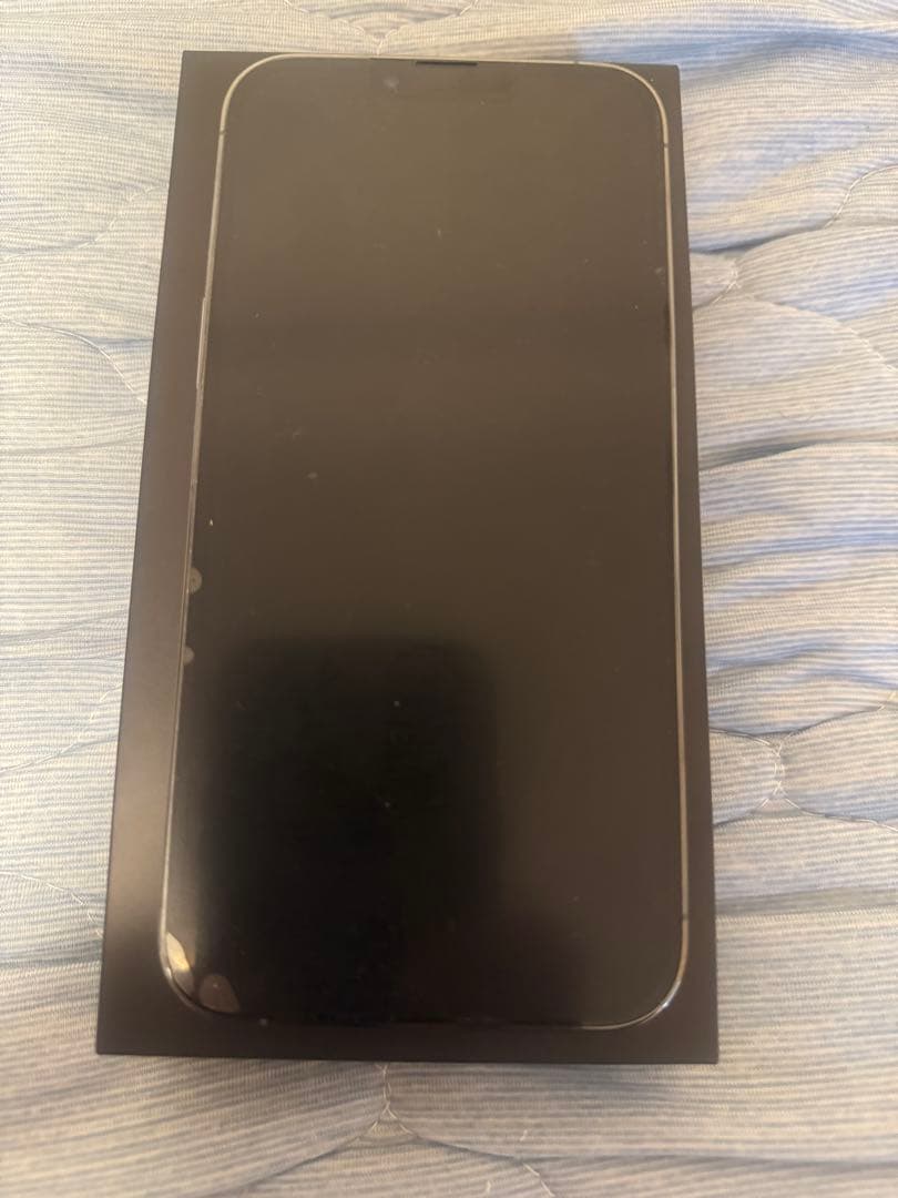 iPhone 13 Pro Max 128GB シエラブルー
