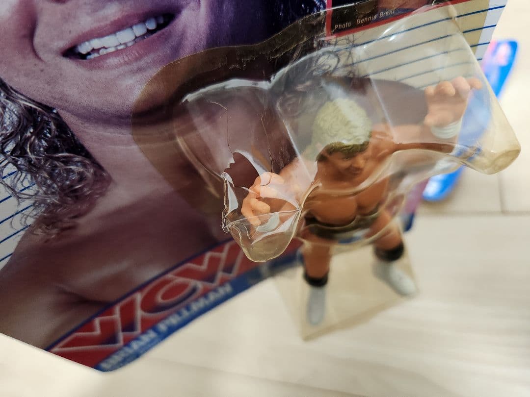 プロレス　WCW フィギュア　wwf wwe galoob