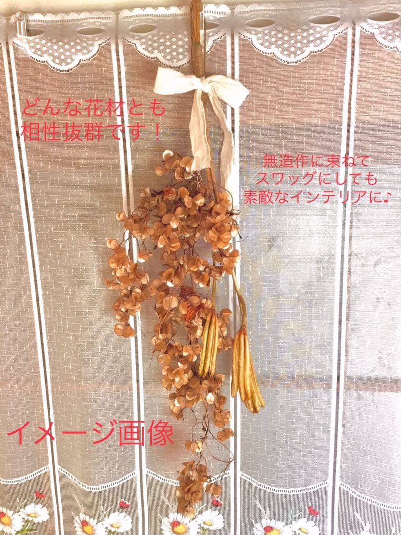 花材【天然野生＊テッポウ百合の花殻】60サイズめいっぱい！百合殻＊ドライフラワー