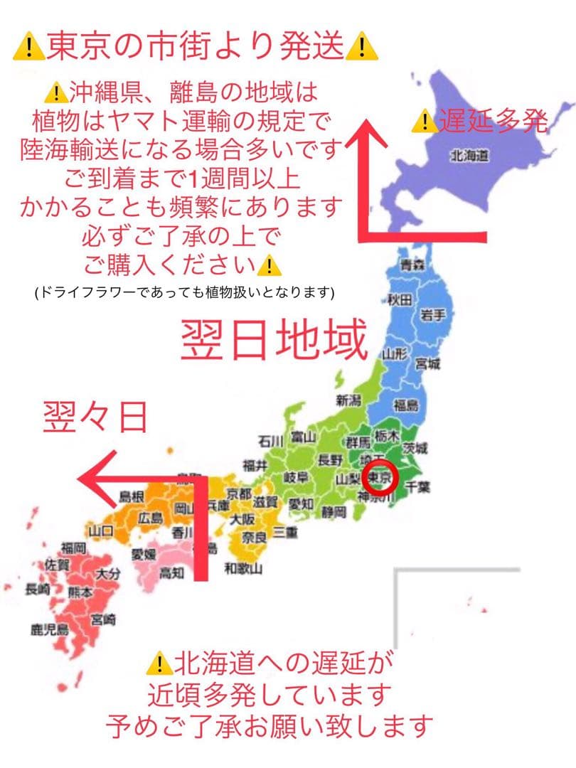 花材【天然野生＊テッポウ百合の花殻】60サイズめいっぱい！百合殻＊ドライフラワー