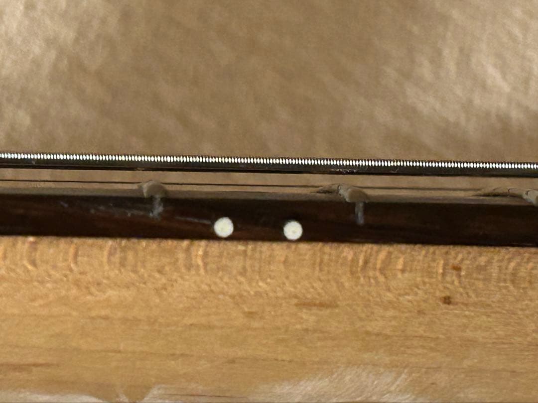 PHOTOGENIC ストラトタイプ　レリック加工　フェンダーペグ　新品弦