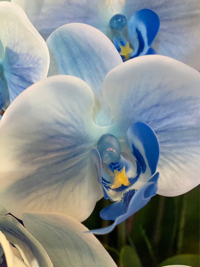 光触媒　人工観葉植物　ウォールグリーン　フェイクグリーン　リアル胡蝶蘭8557