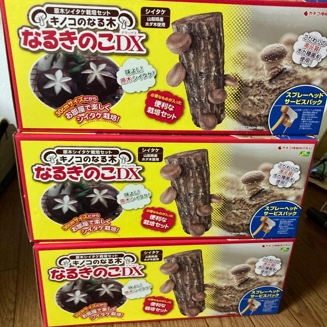 まとめ×3個セット　カネコ　なるきのこDX 原木シイタケ栽培セット