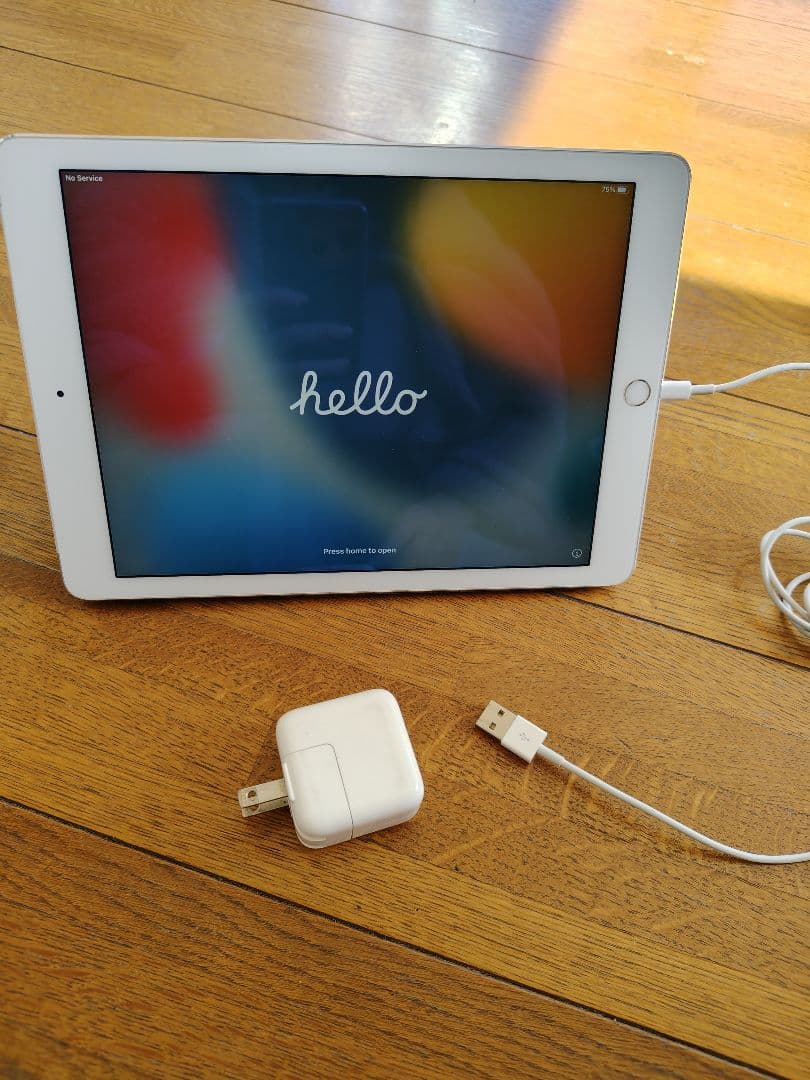 iPad Air2 純正充電器・ケーブル付き