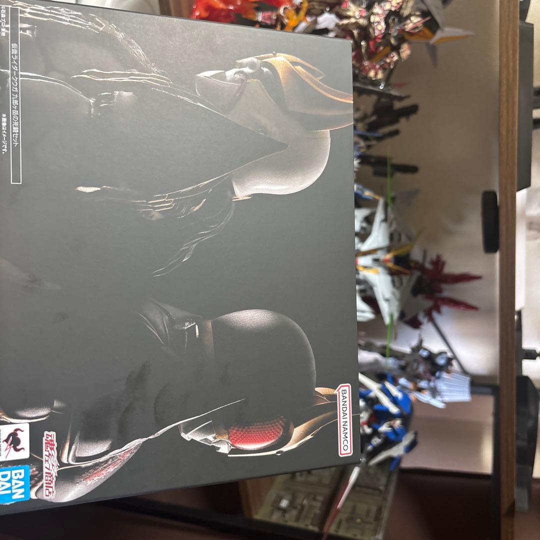 S.H.Figuarts真骨彫製法仮面ライダークウガ九郎ヶ岳の死闘セット