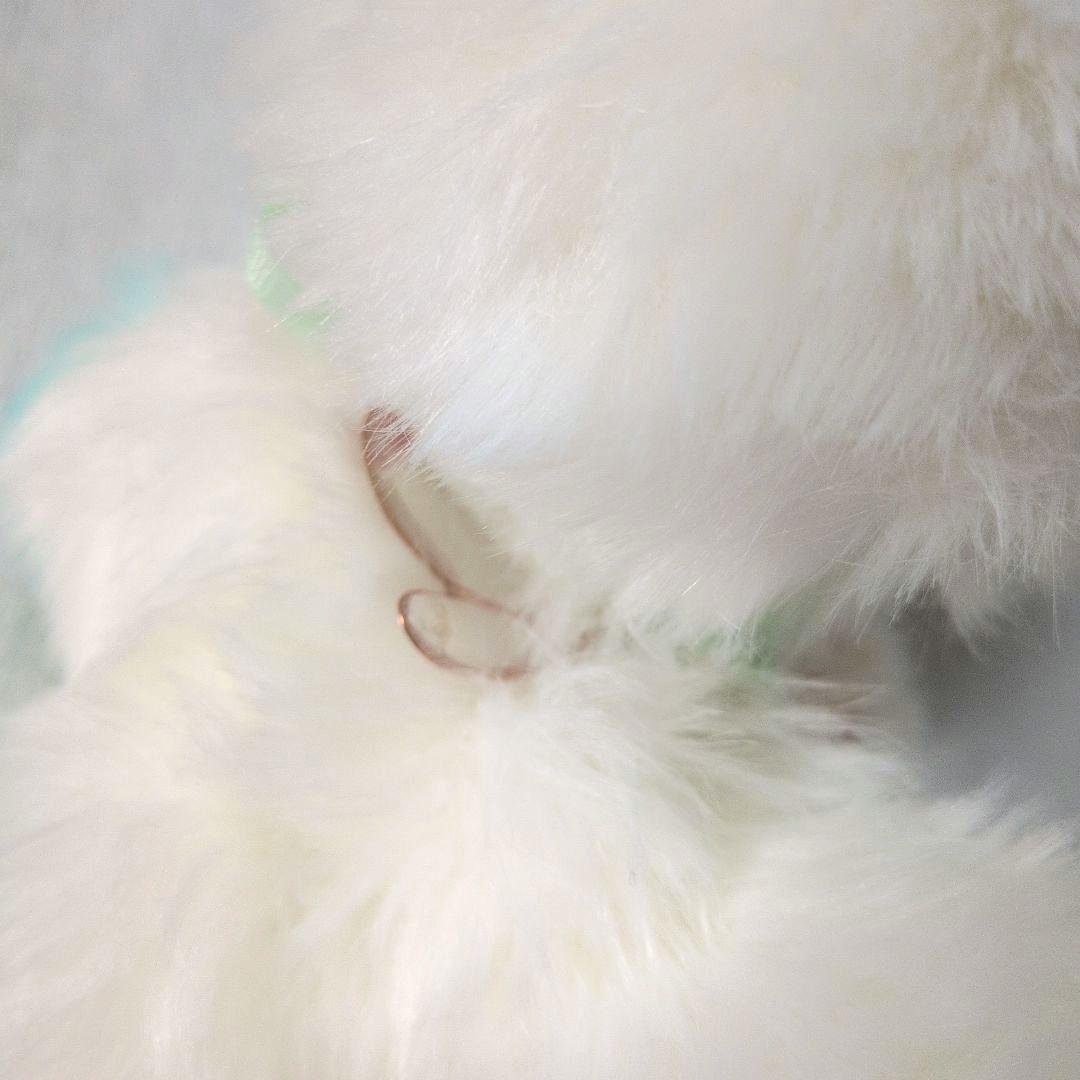 幻獣　猫　ぬいぐるみ　アートドール　天使　ハンドメイド　　箱付き