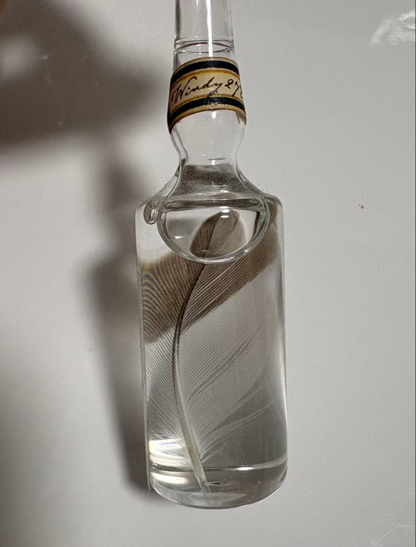 風の標本+ストームグラス まとめ売り 鳥羽標本 miomori みおもり