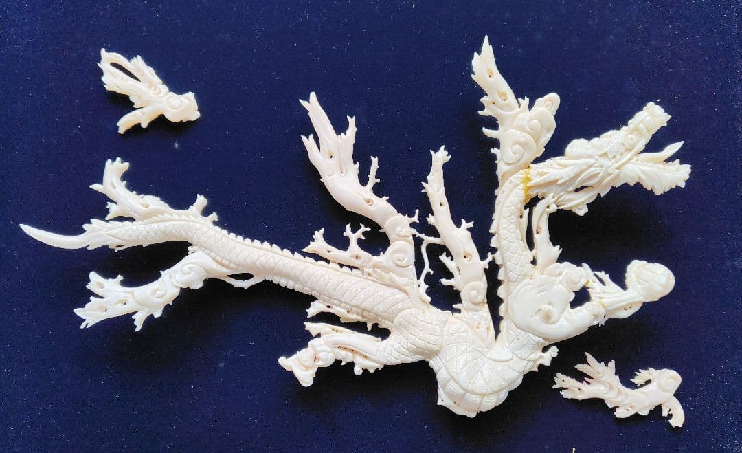 サンゴ 彫刻　土佐 高知沖 コーラルサンゴ額入り 龍 約70cm補修 箇所あり