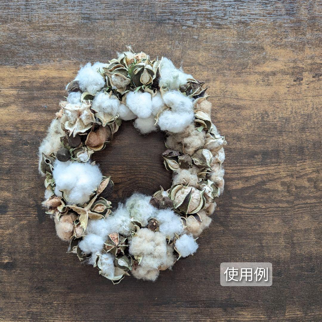 専用コットン　ドライフラワー花材