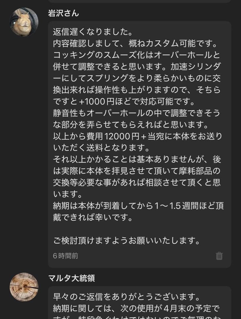 マルタ大統領 VSRカスタム