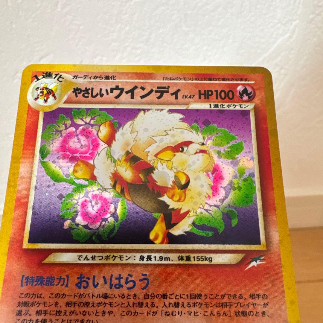 やさしいウインディ ★ 3枚セット