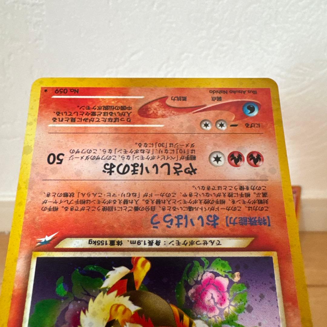 やさしいウインディ ★ 3枚セット