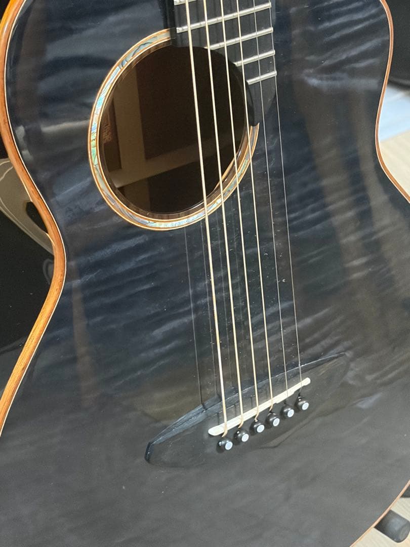 ギター anuenue Bird Guitar Bird M77E