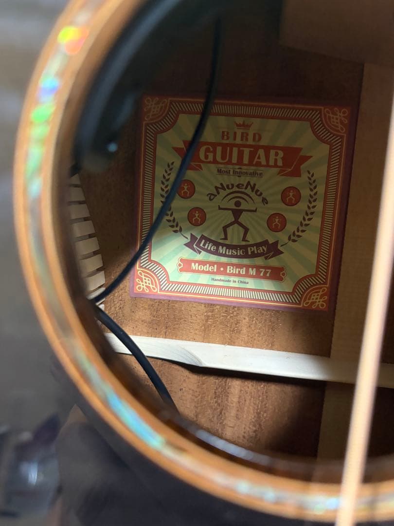 ギター anuenue Bird Guitar Bird M77E