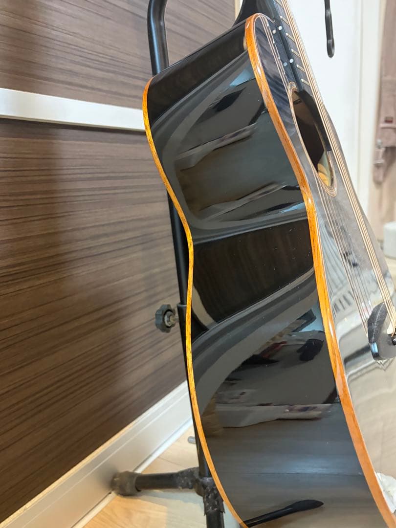 ギター anuenue Bird Guitar Bird M77E