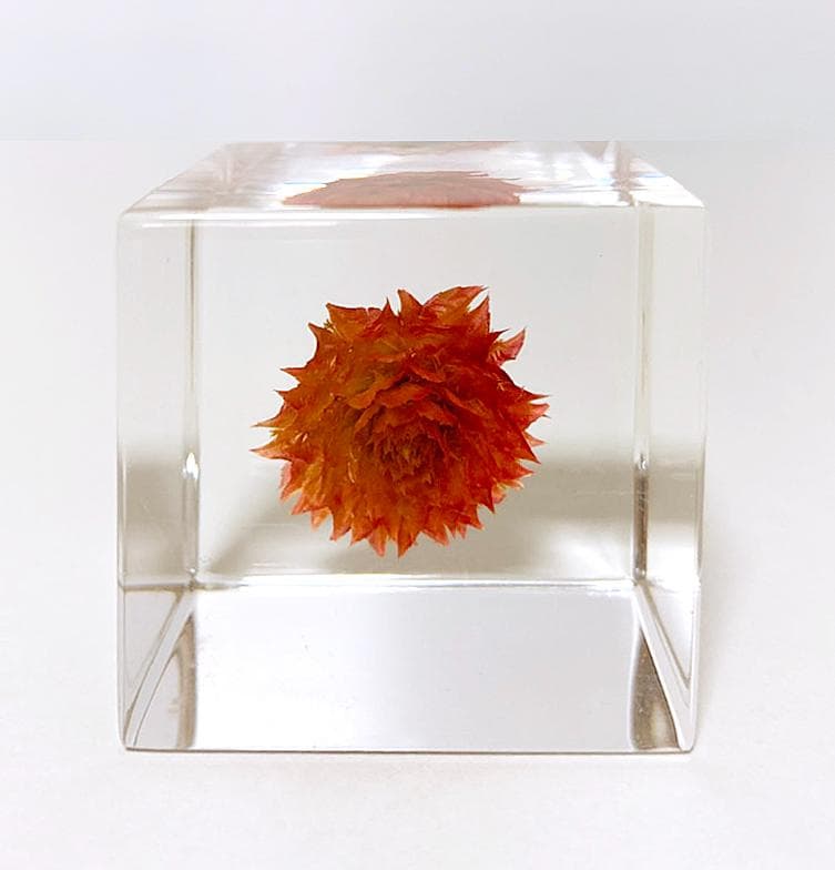 molly様　ソラキューブ 9個セット　宙　木箱付　Sola Cube 9