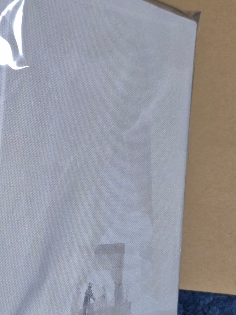 ニーアレプリカント 15周年記念 オンラインくじ キャンバスボード 兄妹