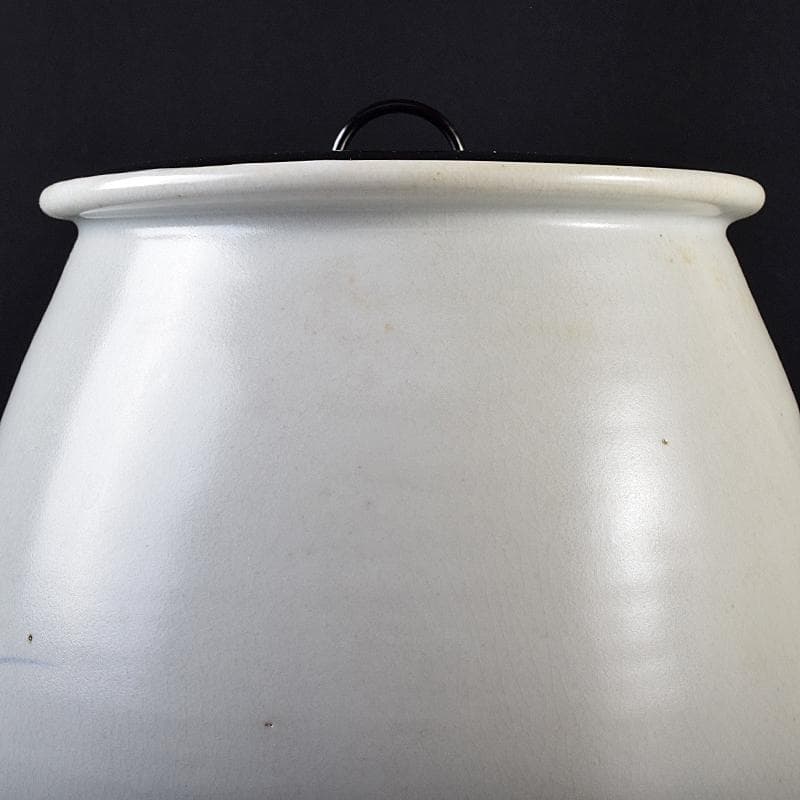 銀杏の木 　安東五作　樊川窯　青華　花文　水指　共箱　M　R8709B