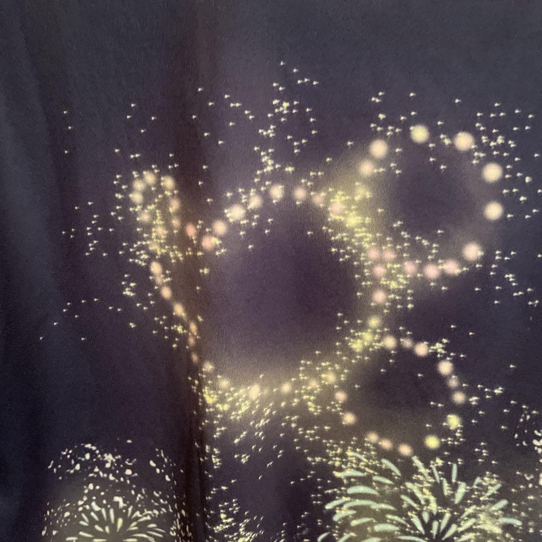 ディズニーリゾートライン Tシャツ disney