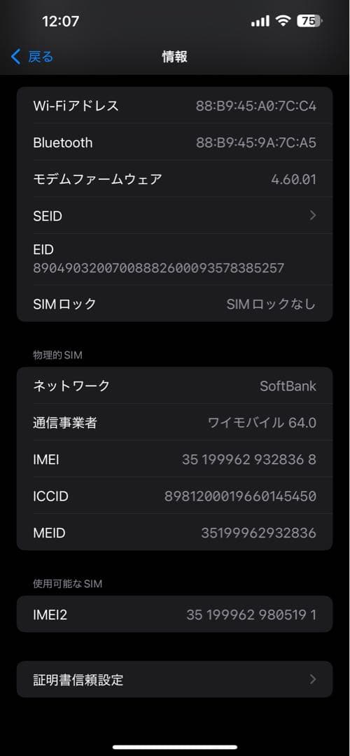 iPhone 13 pro max 256GB シエラブルー