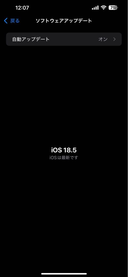 iPhone 13 pro max 256GB シエラブルー