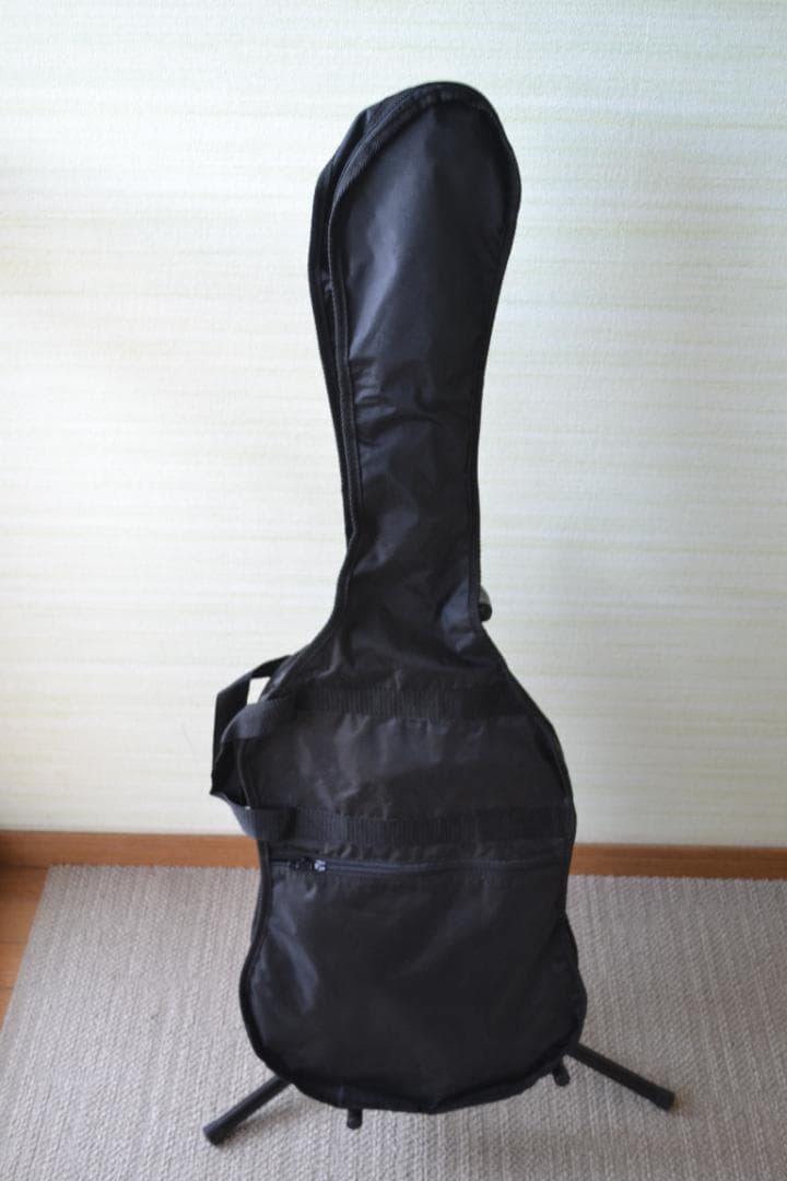 Selder エレキギターストラトタイプ　ソフトケース付き