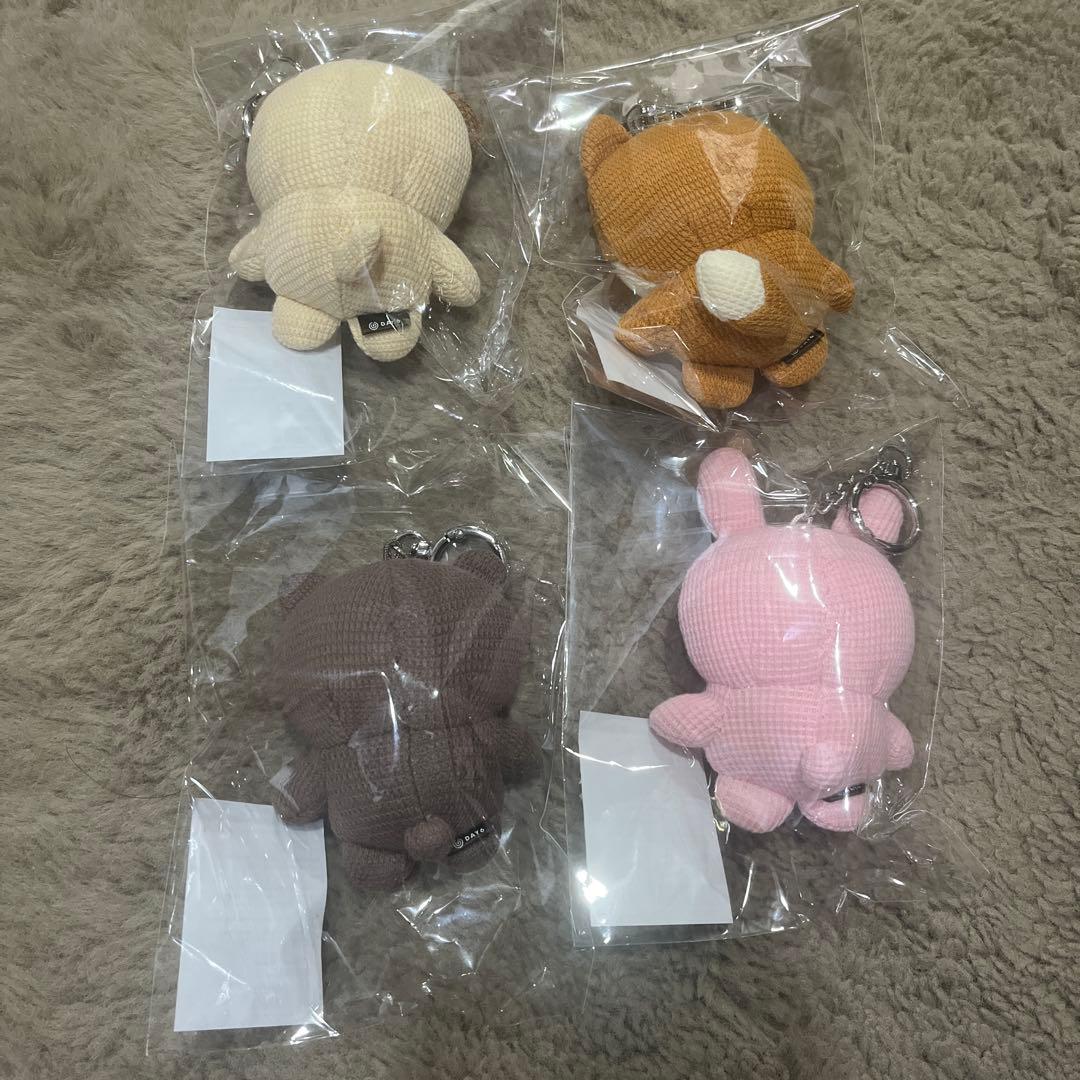 DAY6 デニマルズ ニットver 2025ThePresent 未開封 セット