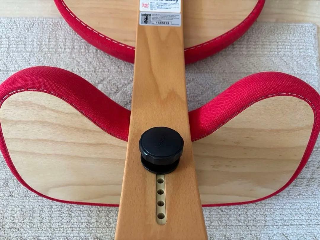 【美品】カバー付／箱付正規品 バランスチェア（サカモトハウス）バランスチェア