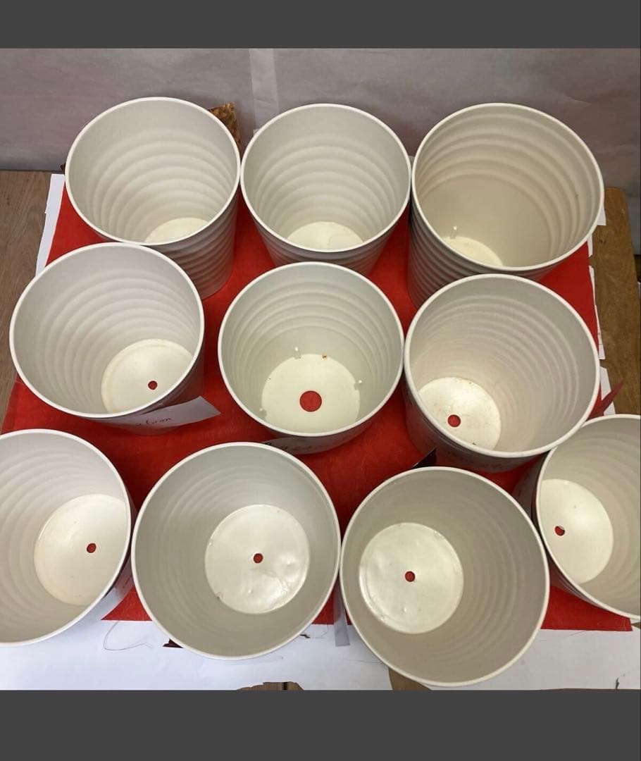 796805 胡蝶蘭が入っていた　植木鉢　プラスチック製　軽い　10個