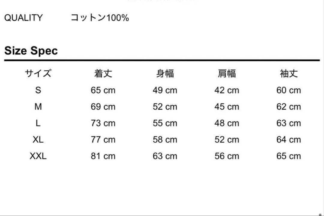 10-FEET RUDIE'S コラボ Tシャツ ロンT