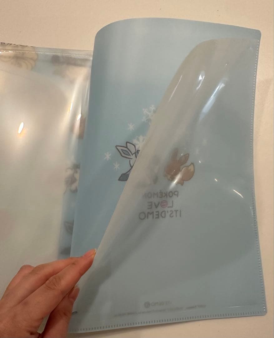 イッツデモ　ポケモン　イーブイ・グレイシアファスナー付きマルチクリアファイル