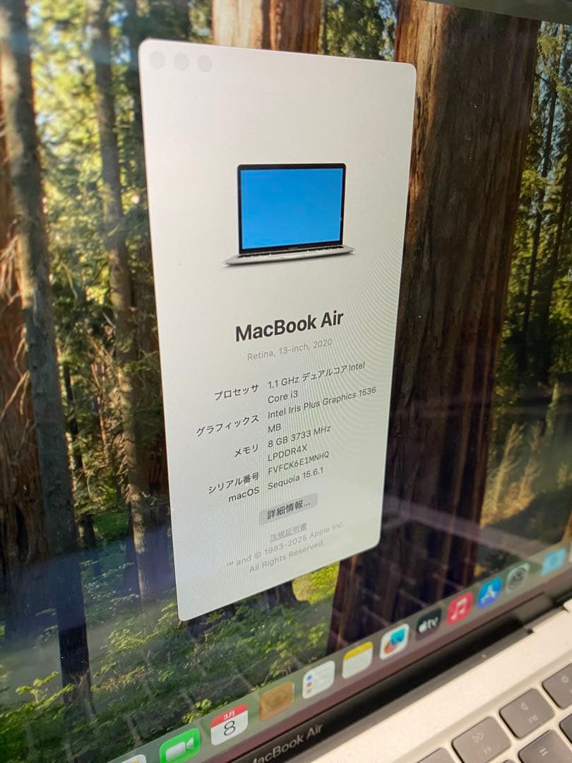 MacBook Air 13インチ A2179 Retina 256GB