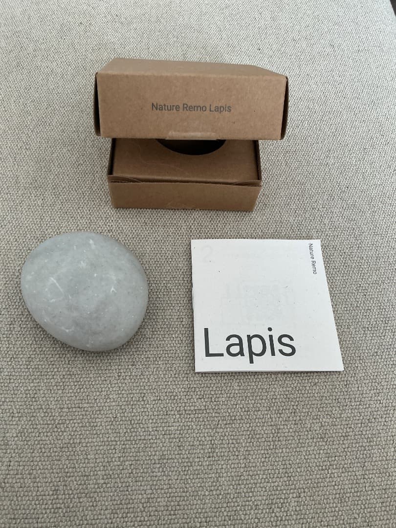 Nature Remo Lapis 美品 箱あり 使用1回 USB付