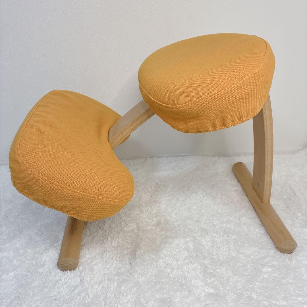 【極美品】バランスラボ balans Easy バランス イージー 姿勢矯正