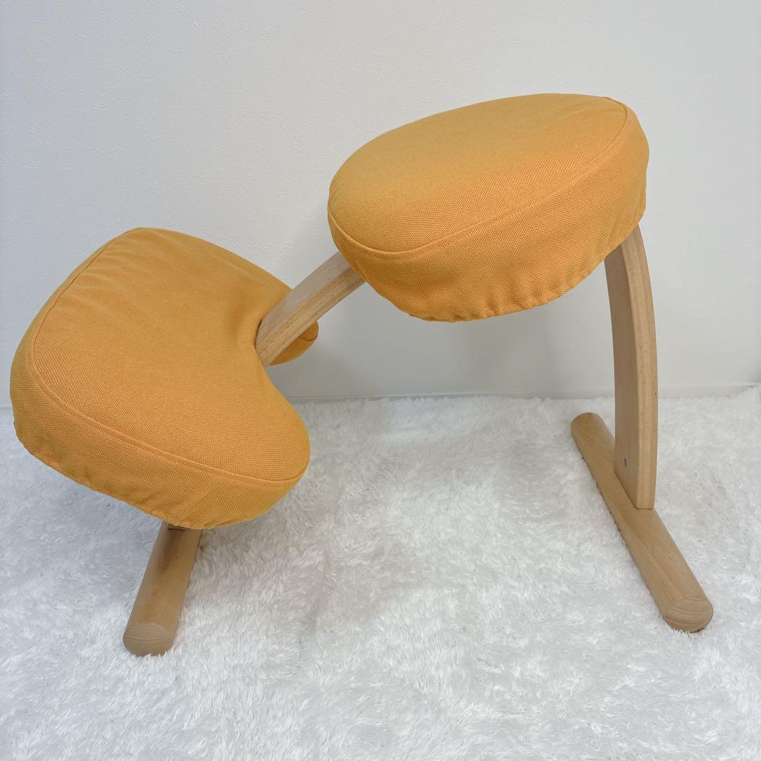 【極美品】バランスラボ balans Easy バランス イージー 姿勢矯正