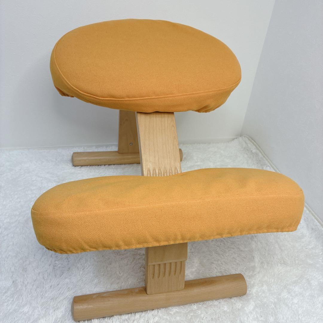 【極美品】バランスラボ balans Easy バランス イージー 姿勢矯正