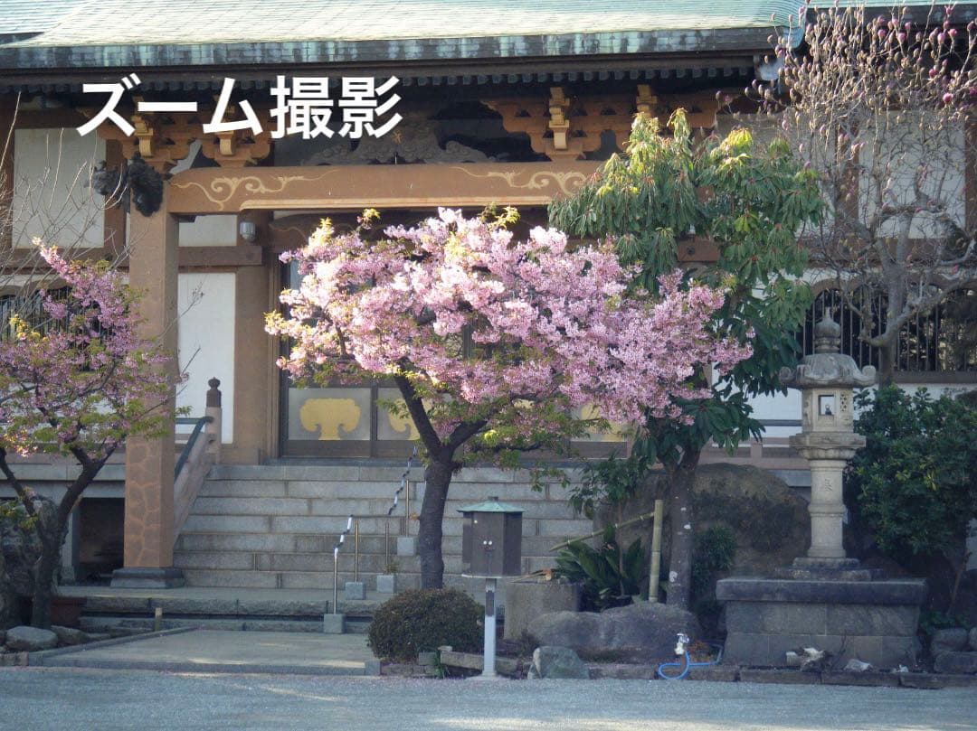 実写美⭕️良品【動作確認済】FUJIFILM 防水 FinePix Z33WP
