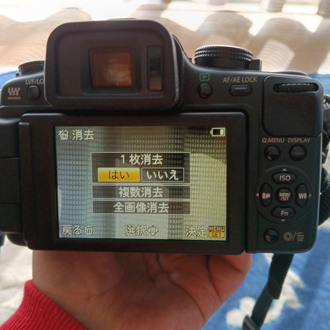 LUMIX G2 ミラーレス一眼カメラ レンズセット