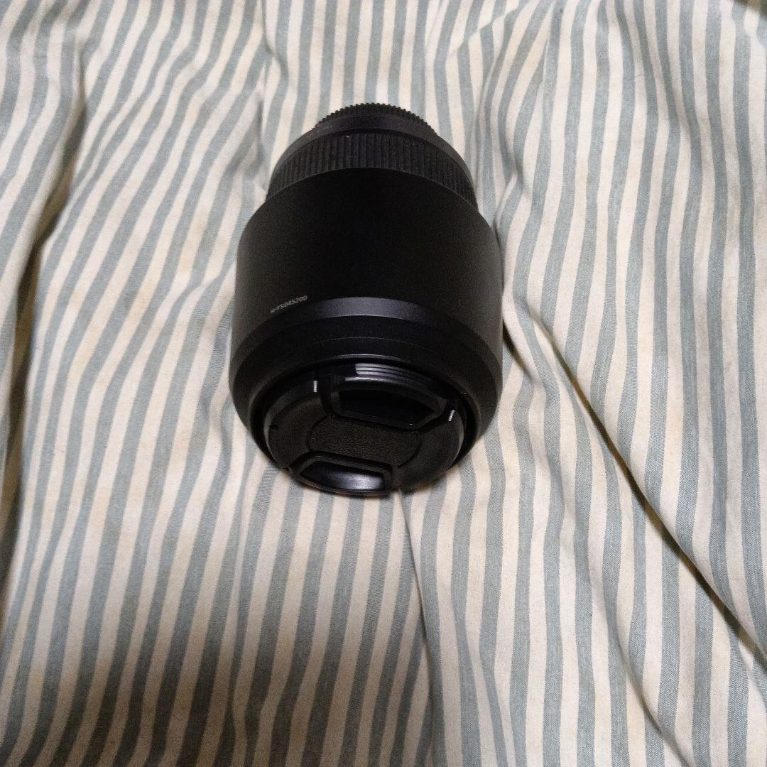 LUMIX G2 ミラーレス一眼カメラ レンズセット
