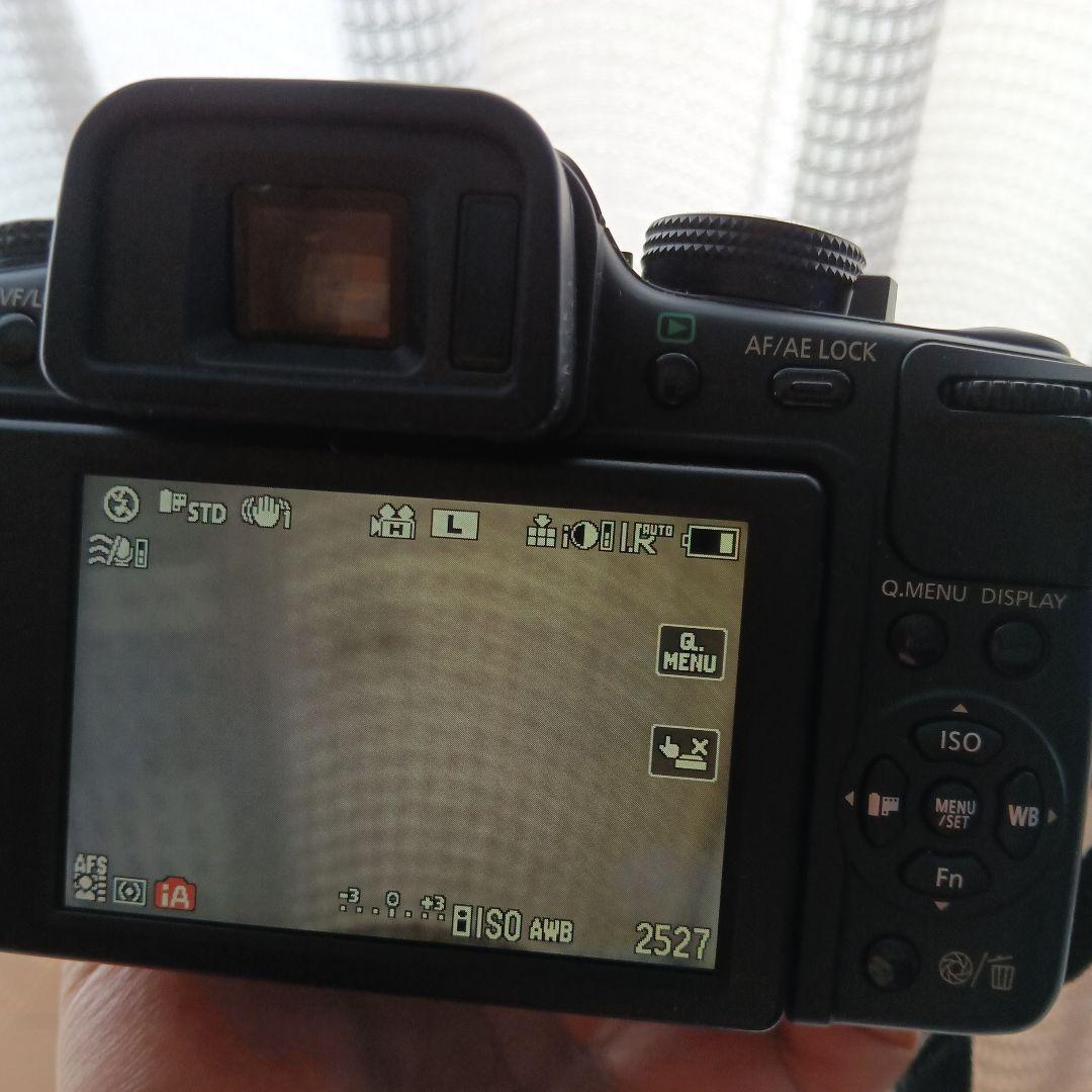 LUMIX G2 ミラーレス一眼カメラ レンズセット