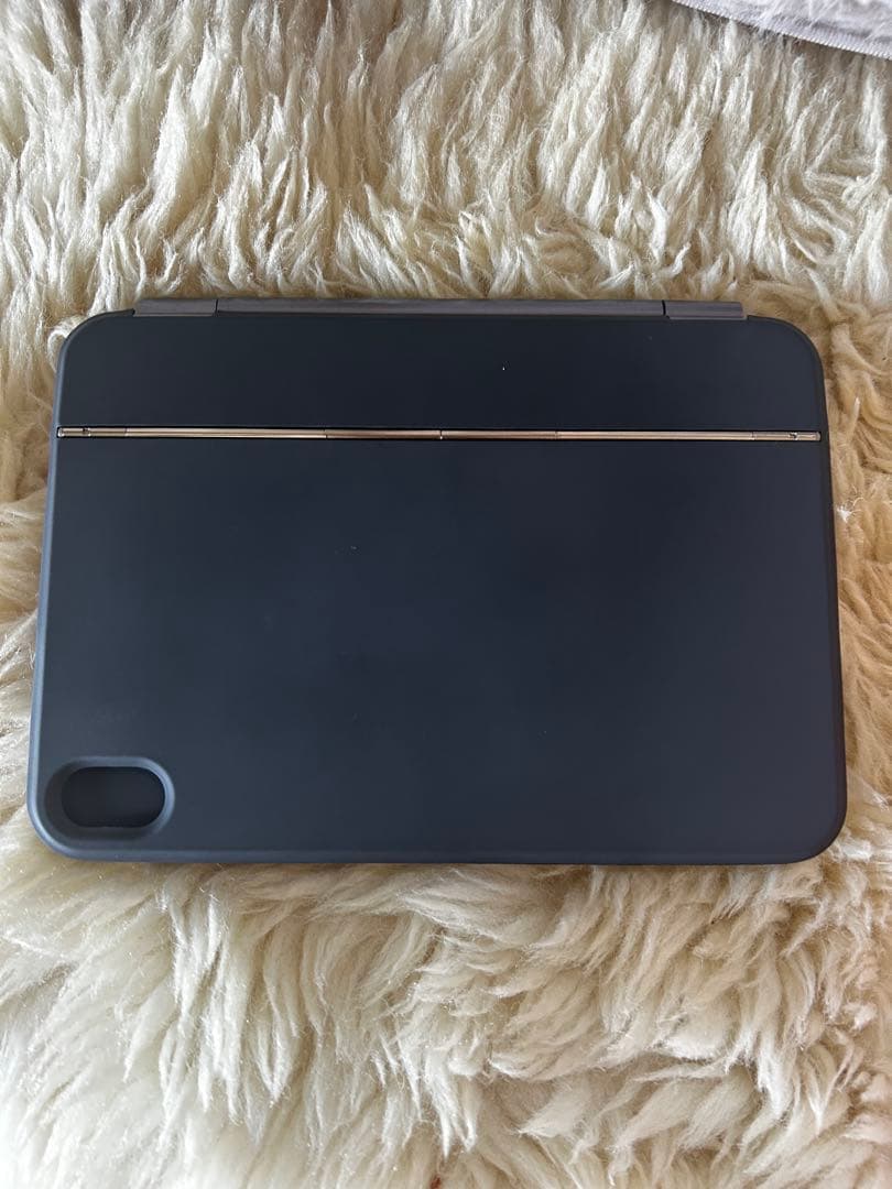 iPadアクセサリー EAMPANG for Apple iPad mini 7 ,6